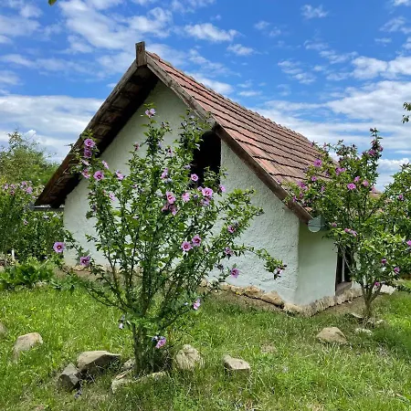 Rusztika Country Holiday home